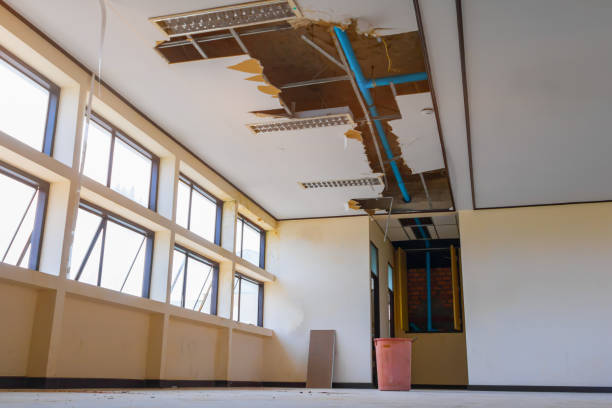 Best Basement water damage restoration  in Pearland, TX