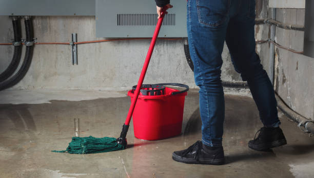 Best Mold removal after water damage  in Pearland, TX