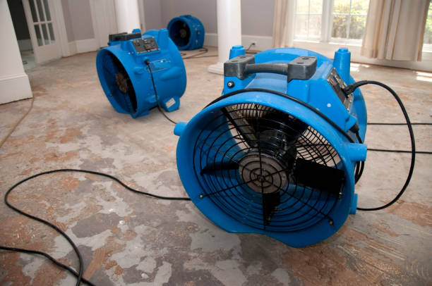 Best Residential water damage restoration  in Pearland, TX