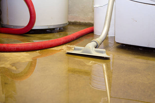 Best Carpet water damage restoration  in Pearland, TX