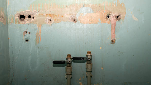 Best Water damage cleanup near me  in Pearland, TX