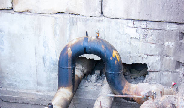 Best Mold removal after water damage  in Pearland, TX