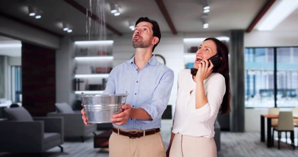 Best Basement water damage restoration  in Pearland, TX