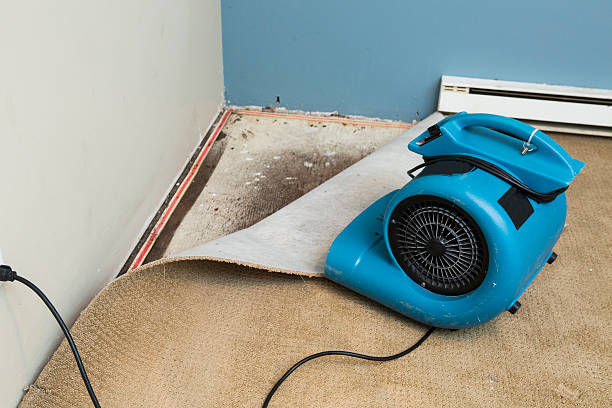 Professional Water damage restoration in Pearland, TX